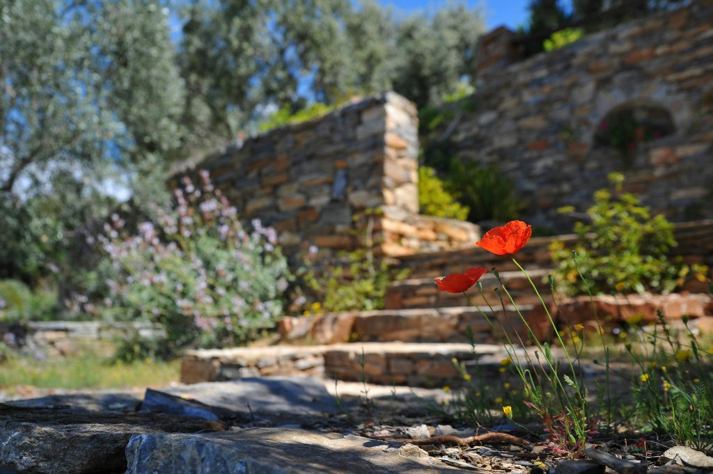 Bookkeeping for Landscapers
