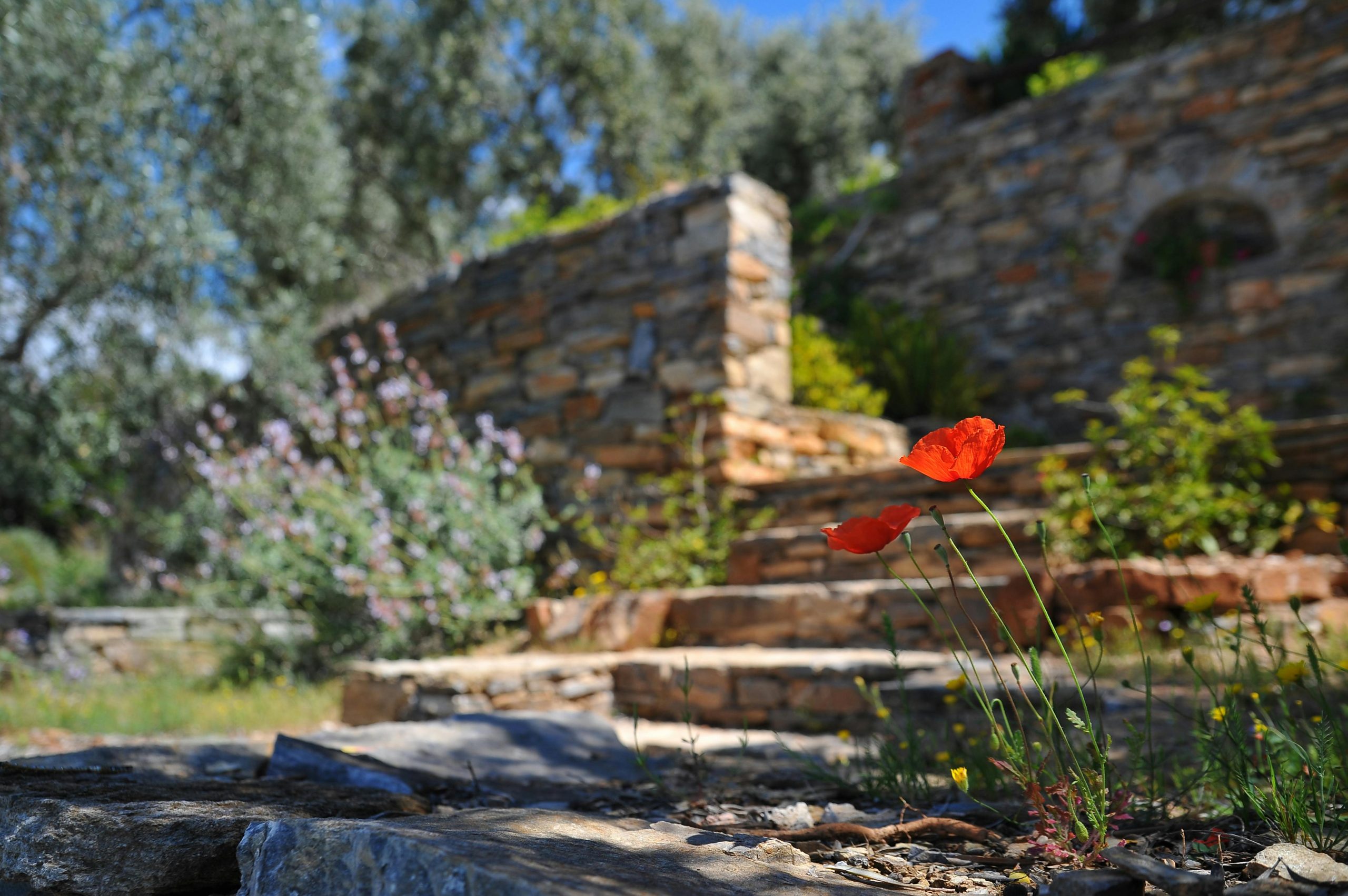 Bookkeeping for Landscapers