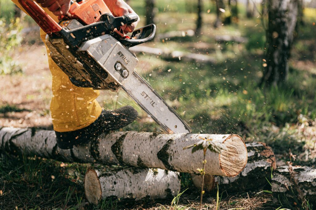 Fractional CFO Services for Tree Service Companies